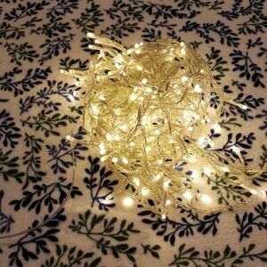 Source Unknown Soft White Holiday String Lights